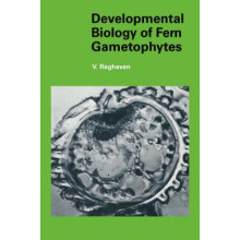 Developmental Biology of Fern Gametophytes by Valayamghat Raghavan Pap