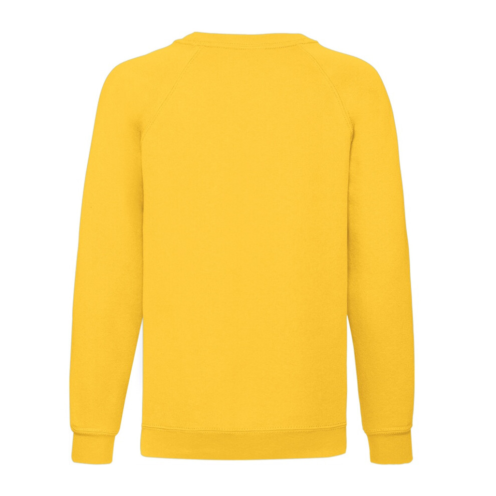 Fruit Of The Loom (12-13 Years, Royal Blue) Childrens/Kids Classic Raglan Sweatshirt