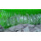 Clear Quartz Crystal Healing Wand Point Natural Rock 3