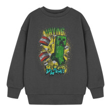 (7-8 Years, Grey) Minecraft Boys Having A Blast Sweatshirt