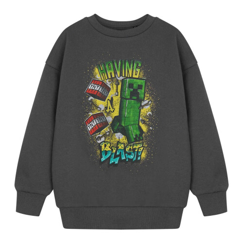 Minecraft (7-8 Years, Grey) Minecraft Boys Having A Blast Sweatshirt
