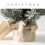 16 inch Pre-lit Flocked Mini Christmas Tree 5