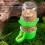 Automatic Bird Feeder and Water Dispenser Plastic Clip 6