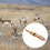 Archery Broadheads Expandable Blade 100 Grain 2