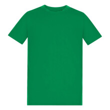 (7-8 Years, Kelly Green) Awdis Childrens/Kids 150 Crew Neck T-Shirt
