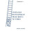 Language Development From Birth To Three by Moshe Anisfeld Paperback B 1