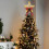 Lighted Gold Star Tree Topper with LED Lights 1 Pack 7