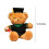 Graduation Bear Plush with Gown Cap Diploma 14 inch 3