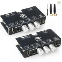 2pack TW100U 100W Mono Förstärkarboard, TPA3116D2 Digital Strömförstärkar Modul, Stödjer TWS-Trådlös, AUX/ 5.3 Ingång
