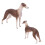 Brown Greyhound Model Ornament Desktop Decoration Toy Gift 2