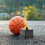Basketball Trophy Plastic Gold Design 1 Piece 5