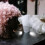 Hemoton Transparent Plastic Wig Stand Dome Shape 3 pcs 6
