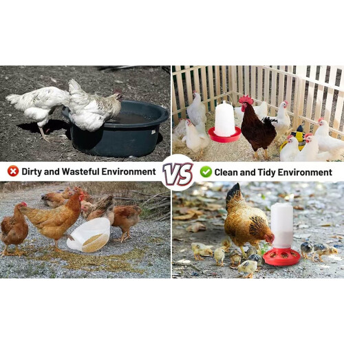 Chicken Feeder Waterer Set Automatic Gravity Fed 1 Pack 1