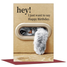 Pet Lover Birthday Greeting Cards, Kitty Paw Design Happy Birthday Card With Envelope Gift For Friends