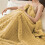 Taffeta Velvet Blanket Solid Color 150x200cm 3