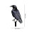 Halloween Crow Ornament Black Plastic 1 Piece 3
