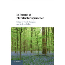 In Pursuit of Pluralist Jurisprudence Paperback Book