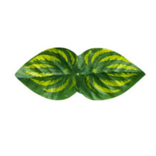 2X Artificial Privacy Fence Screen Faux Ivy Leaf Screening Hedge for Outdoor Indoor Decor Garden Backyard Patio
