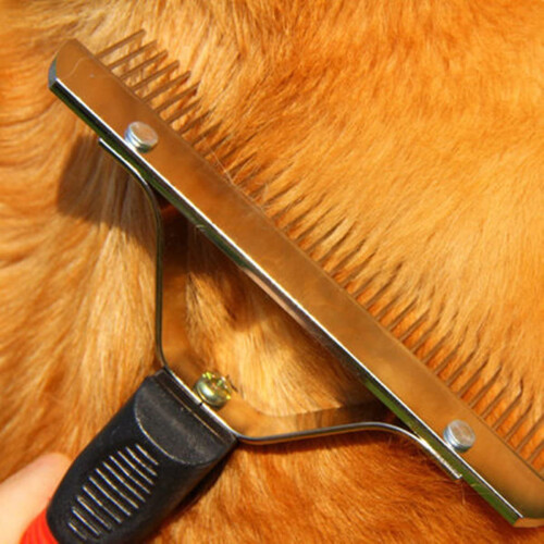 Pet Comb Extra-Large Rake for Large Dogs 1