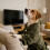 Pet Bathrobe Hooded Quick-Drying Absorbent Towel for Small 3
