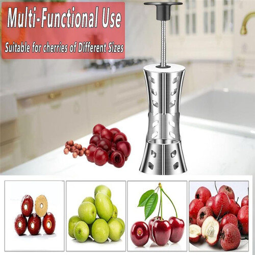 Portable  Pitter Remover Tool 304 Stainless Steel Kitchen Tool Silver Fruit Pit Remover for  Jam Press Type 2
