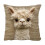 Alpaca Print Pillow Cover 18x18in 1