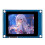 ESP32-S3 Development Board IPS Capacitive Touch Display Screen 240x320 2.8 Inch Display WiFi BLE5 16MB Flash 8MB PSRAM 1