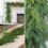 Artificial Norfolk Pine Garland Green Faux Pine 6 ft 5
