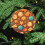 Ceramic Christmas Ornament Chocolate Cookie Design 1 Piece 8