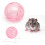 Hamster Activity Ball Transparent Exercise Toy for Small 3