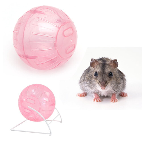 Hamster Activity Ball Transparent Exercise Toy for Small 2