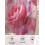 Pink Rose Sheer Curtains Voile 52x54 in 2 Panels 6