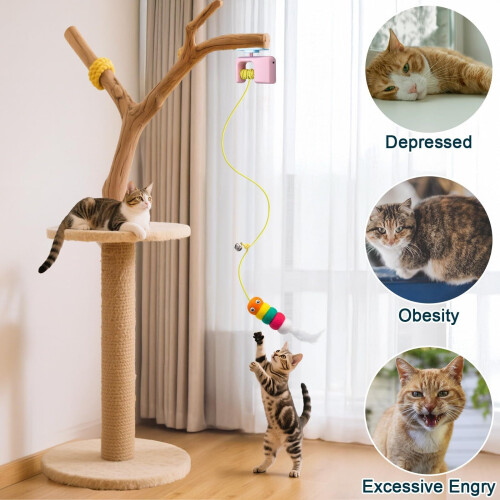 Interactive Hanging Retractable Cat Toy with Feather 2