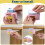 Interactive Hanging Retractable Cat Toy with Feather 4