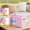 Interactive Hanging Retractable Cat Toy with Feather 8
