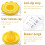 Lemon Squeezer Plastic Detachable Manual Juicer with 3