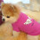 Dog Sweater Summer Thin Short-Sleeve Vest for Small Medium 5