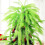Triani Christmas Tree Topper Green Curly Stems 20 pcs 17.7 5
