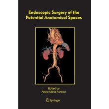 Endoscopic Surgery of the Potential Anatomical Spaces Paperback Book