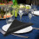 Dinner Napkins Satin Fabric 5 Pieces 6