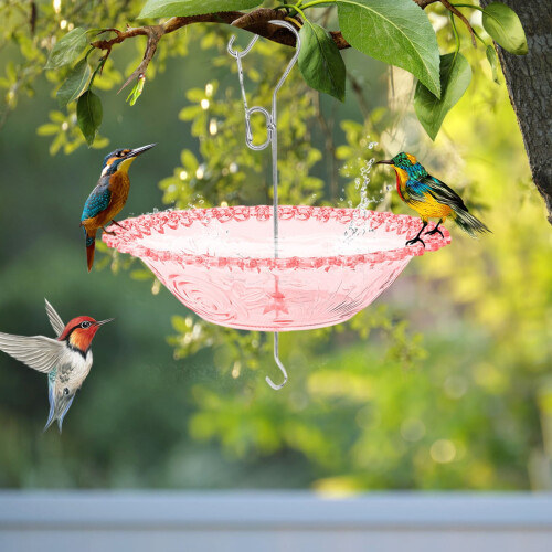 Outdoor Bird Bath and Feeder - Windproof Rainproof with