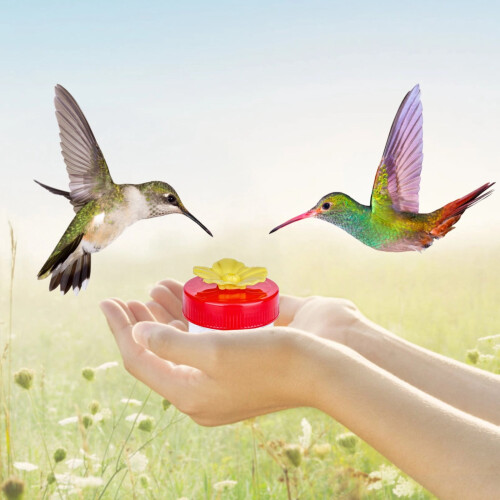 Hummingbird Flower Feeder Set with Brushes 8-Pc 1