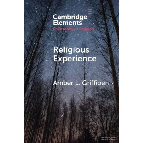 Religious Experience by Amber L. Griffioen Paperback Book