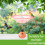 Outdoor Bird Bath and Feeder - Windproof Rainproof with 7