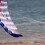 Power Kite Dual Handle Traction Line 55 inch Blue 3