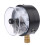 Vacuum Gauge Pressure Controller YXC-100 Electric Contact 2
