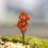 Artificial Tree Decor for Miniature Gardens Terrariums 4