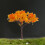 Artificial Tree Decor for Miniature Gardens Terrariums 5