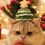 Handmade Christmas Knit Pet Hat 8