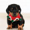 Handmade Christmas Knit Pet Hat 6